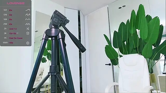 Snapshot of wowEva chatting on January 2025 11:56:02 AM wowEva online show from January 2025 11:56:02 AM