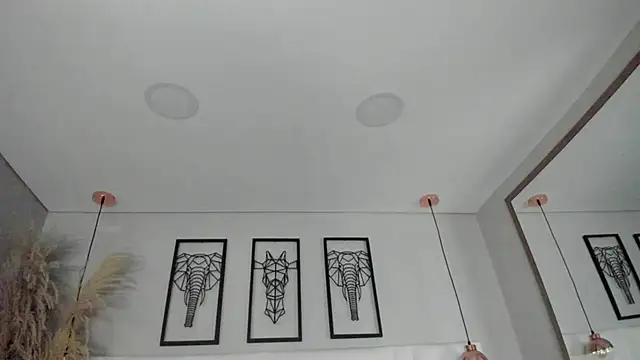 Rebeca jones online show from November 2025 12:17:01 PM