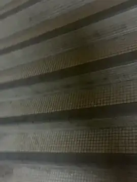 wSilEliaXm online show from September 2025 02:56:02 AM