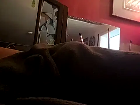 Snapshot of JRock69nKzoo chatting on November 2025 11:54:01 AM JRock69nKzoo online show from November 2025 11:54:01 AM