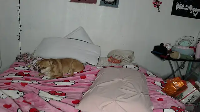 Snapshot of Cupcakecutie449 chatting on February 2026 04:19:02 PM Cupcakecutie449 online show from February 2026 04:19:02 PM