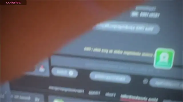 Snapshot of master_227 chatting on January 2025 06:38:01 AM master 227 online show from January 2025 06:38:01 AM