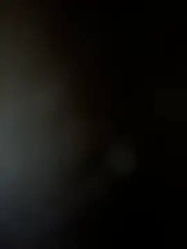 Yurt000 online show from February 2025 07:29:02 AM