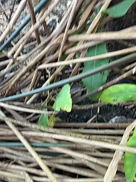 Yurt000 online show from September 2025 03:17:02 AM