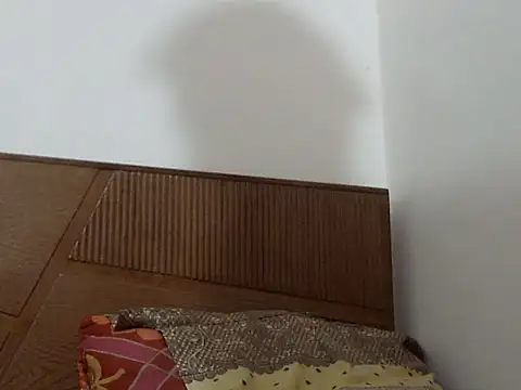 shekira99 online show from September 2025 12:27:01 PM