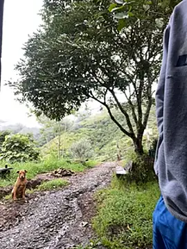 vergasgrandes online show from January 2025 09:14:02 PM