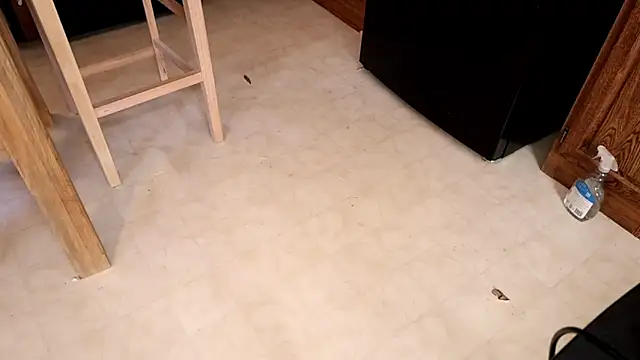 xxpixeyxx online show from February 2026 05:52:01 PM