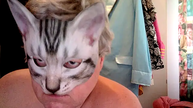 Sigorius online show from December 2025 11:41:02 AM