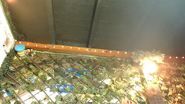 Bigboobs6930 online show from January 2025 05:31:02 AM