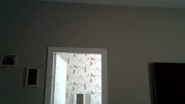 Snapshot of ZarinaSwift chatting on June 2026 09:45:01 AM ZarinaSwift online show from June 2026 09:45:01 AM