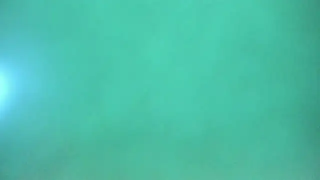 Harleysexycrazy online show from December 2024 04:04:02 AM