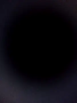 Carlabrasileira online show from November 2025 04:11:02 AM