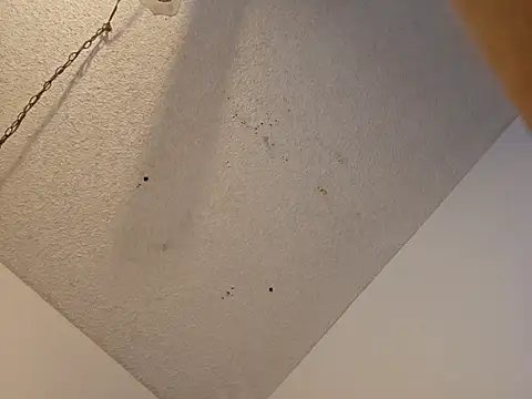 anyway2cum online show from January 2025 02:59:02 PM