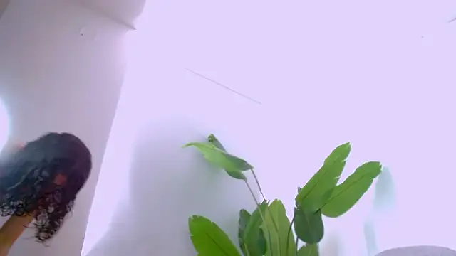 Sara ow online show from February 2026 07:29:02 PM