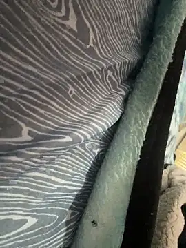 Followthepiper online show from November 2025 07:35:01 PM