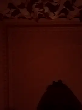 Snapshot of comeonlasys chatting on January 2025 05:41:01 AM comeonlasys online show from January 2025 05:41:01 AM