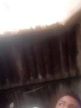 Snapshot of dantero chatting on January 2025 03:36:02 PM dantero online show from January 2025 03:36:02 PM