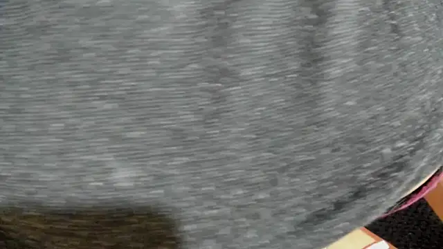 Cloee66 online show from February 2025 07:42:01 PM