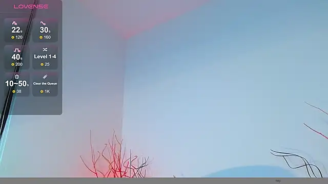 mike wallace online show from December 2024 06:21:01 PM