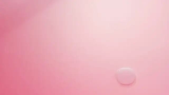 Sachi Meow online show from November 2025 12:06:02 PM