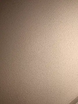 Treemandude online show from September 2025 06:02:02 AM