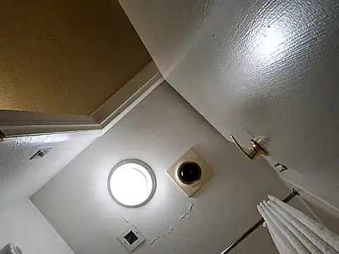 Treemandude online show from October 2025 02:36:02 AM