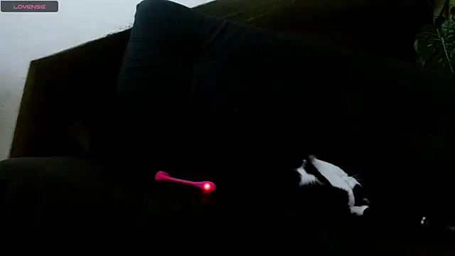 Snapshot of lady_scarlettt chatting on February 2025 04:26:02 PM lady scarlettt online show from February 2025 04:26:02 PM