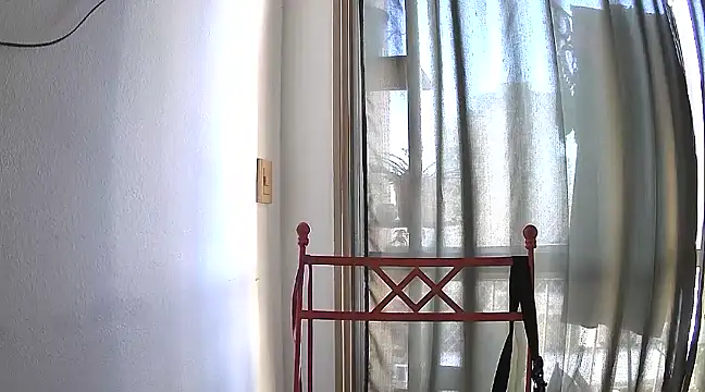 stupid babybird online show from January 2025 09:20:01 PM