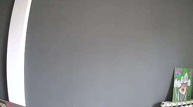 stupid babybird online show from January 2025 04:55:02 PM