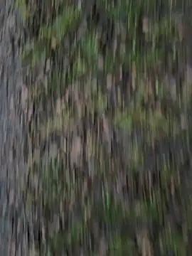 Przystojniak77 online show from December 2025 02:24:02 PM