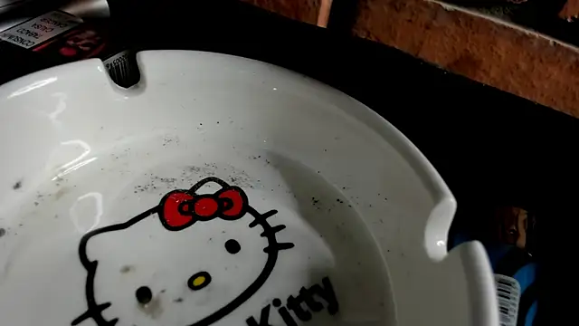 Snapshot of Nikole66_ chatting on October 2025 11:28:02 PM Nikole66 online show from October 2025 11:28:02 PM