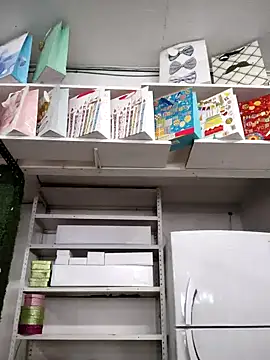 Snapshot of Mia_Novikov chatting on January 2025 10:55:01 PM Mia Novikov online show from January 2025 10:55:01 PM