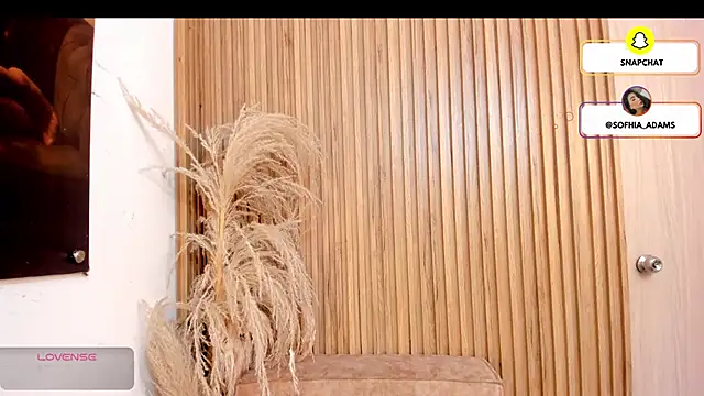 sofhiaa adaams online show from February 2026 05:11:01 PM