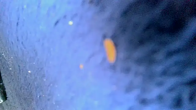 bigcocktat2dude603 online show from December 2024 05:33:02 PM