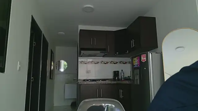 grey   27 online show from May 2026 11:51:02 AM