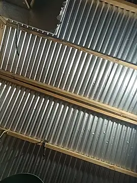 Babyboyy803 online show from February 2026 10:48:01 AM