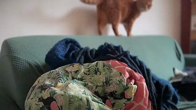 Brianjonest online show from March 2026 04:21:01 PM