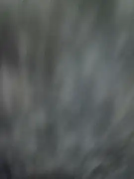 NaiveAlly5 online show from September 2025 07:34:02 AM