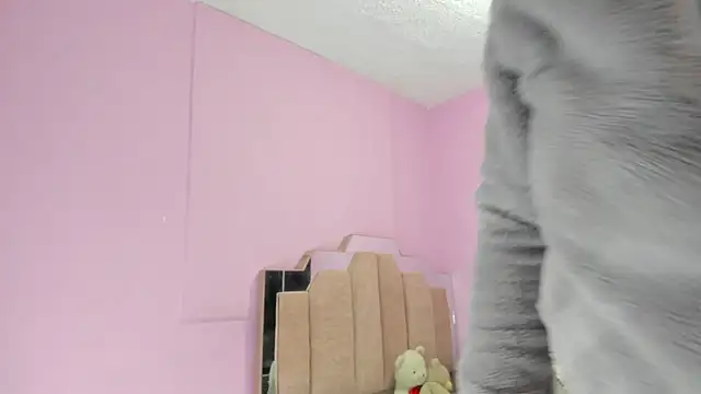 LoveQueen2 online show from September 2025 11:56:02 AM