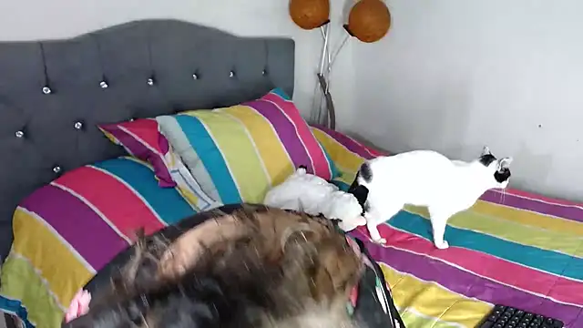 Snapshot of Chantal_hott chatting on October 2025 11:16:02 PM Chantal hott online show from October 2025 11:16:02 PM