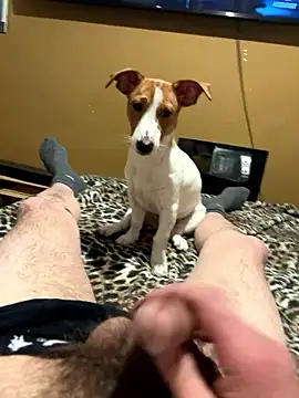 Snapshot of gigetto1977 chatting on January 2026 08:58:02 PM gigetto1977 online show from January 2026 08:58:02 PM