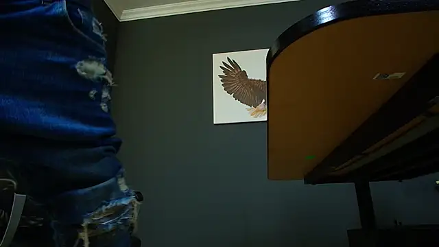 Snapshot of JoshKnights chatting on March 2025 12:45:01 PM JoshKnights online show from March 2025 12:45:01 PM