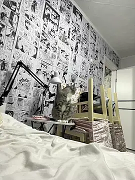 Minami 686 online show from December 2024 12:40:02 PM