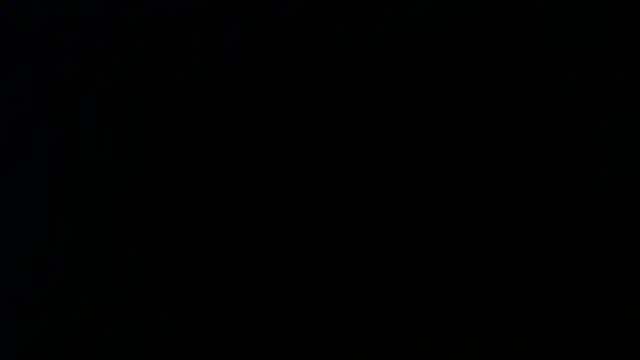 Sophia your online show from April 2026 12:10:01 PM