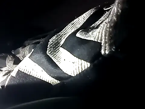 Snapshot of Blkstylion chatting on December 2025 04:05:01 PM Blkstylion online show from December 2025 04:05:01 PM