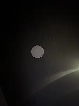 Amareto  online show from January 2026 11:36:02 AM