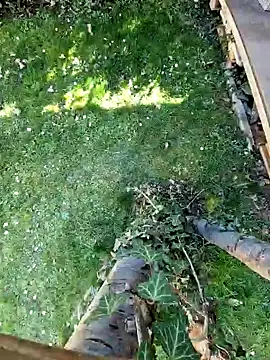 Snapshot of Lorent6969 chatting on March 2025 01:18:01 PM Lorent6969 online show from March 2025 01:18:01 PM