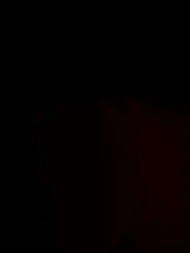 FantasticWonders9 online show from November 2025 12:21:02 AM