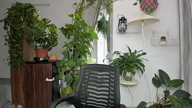 Snapshot of Oliver_Nl chatting on November 2025 05:24:01 AM Oliver Nl online show from November 2025 05:24:01 AM