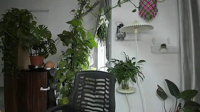 Snapshot of Oliver_Nl chatting on November 2025 04:56:02 AM Oliver Nl online show from November 2025 04:56:02 AM